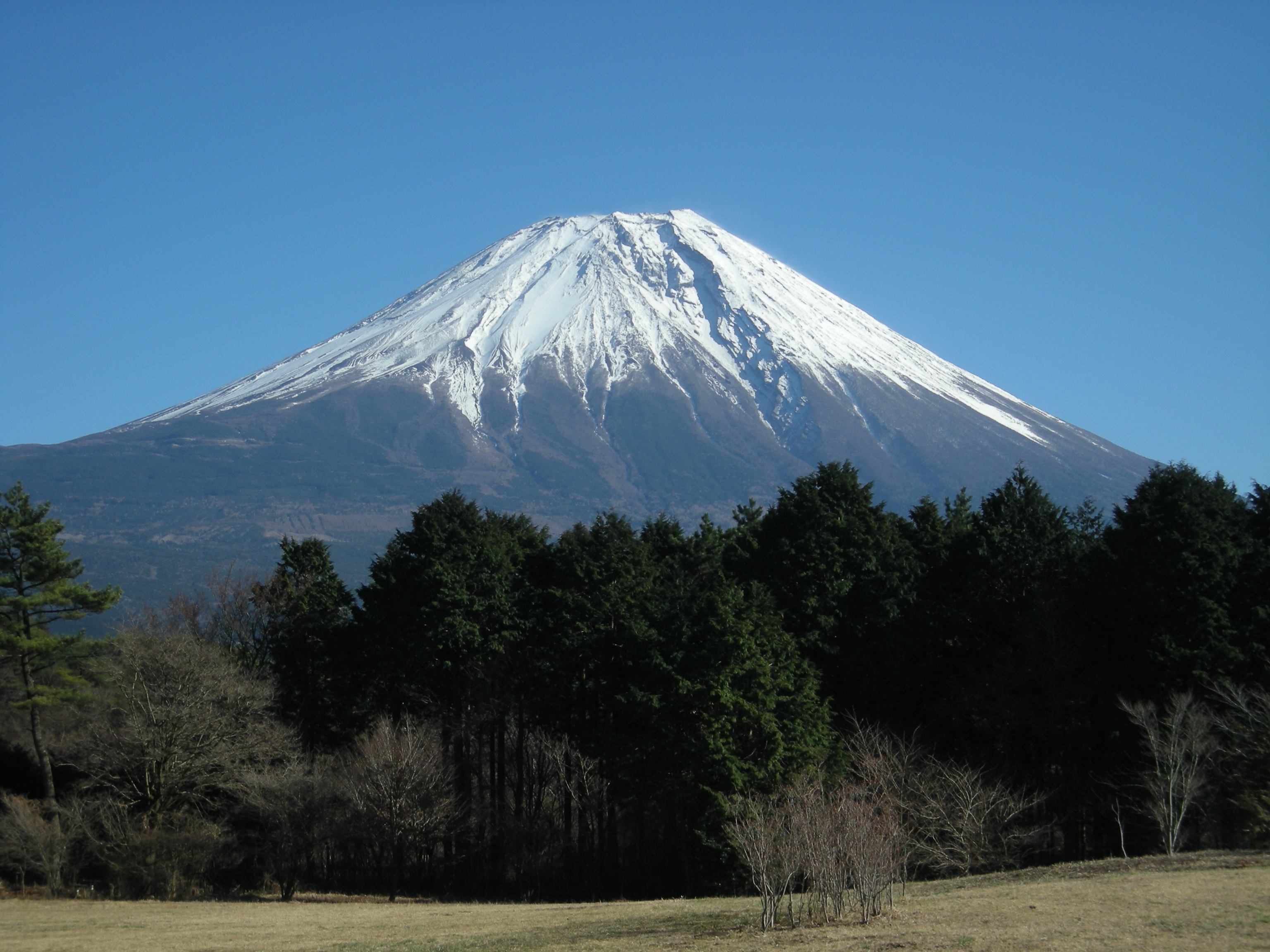 Gambar Gunung Fuji Jagaimo Gambar Fujiyama Di Rebanas Rebanas